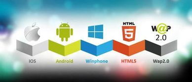 定制网站建设解决方案 通川软件开发的战略与实践